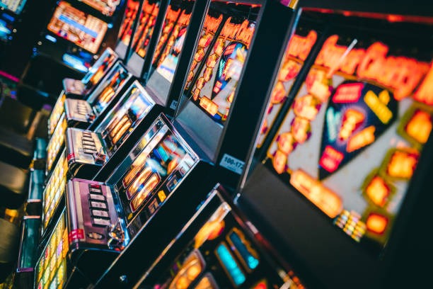 Ikan Hoki live dealer interface on result kingkong platform
